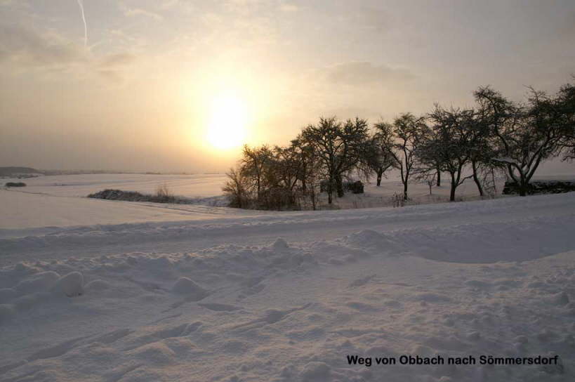 Obbach-8